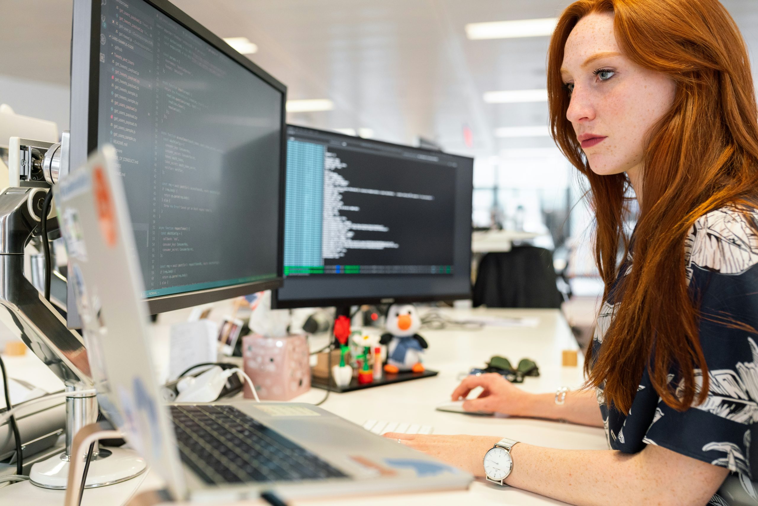 engineer software